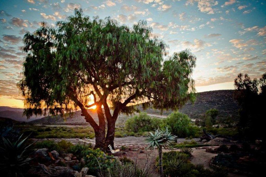 Naries Namakwa Retreat * Goop